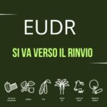 EUDR: il Consiglio europeo conferma la volontà di rinvio al 2026