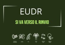 EUDR: il Consiglio europeo conferma la volontà di rinvio al 2026