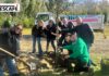 PiantiAmo il Futuro: Nescafé ha celebrato la Giornata Nazionale degli Alberi