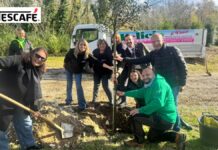PiantiAmo il Futuro: Nescafé ha celebrato la Giornata Nazionale degli Alberi