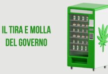 Cannabis light: il governo prima apre, poi richiude tra maxi-tasse e dietrofront