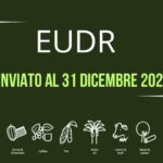 EUDR rinviato: più tempo per le filiere e mercati del caffè meno sotto pressione
