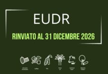 EUDR rinviato: più tempo per le filiere e mercati del caffè meno sotto pressione