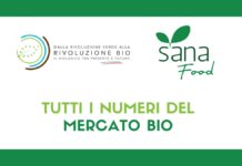 Biologico in Italia: 6,9 miliardi nel 2025. Il fuori casa diventa canale strategico