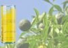 Red Bull Summer Edition 2026: arriva il gusto Sudachi Lime