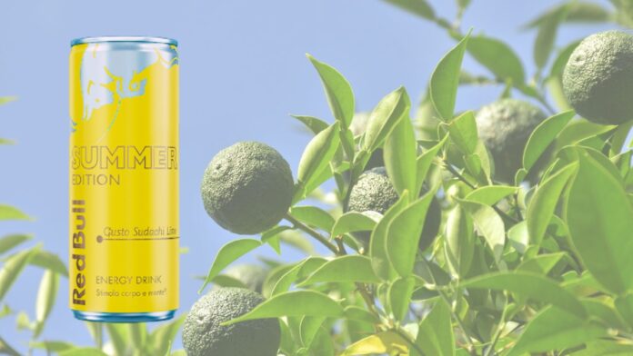 RED BULL SUDACHI LIME 1200 VENDING NEWS