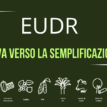 EUDR, la Commissione pubblica la relazione di semplificazione: caffè solubile tra le novità