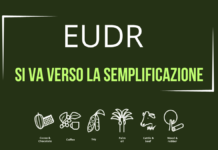 EUDR, la Commissione pubblica la relazione di semplificazione: caffè solubile tra le novità