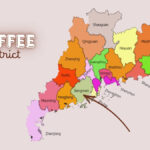 Jiangmen, Guangdong: il distretto del caffè cinese da 443 milioni di dollari