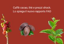 Prezzi fuori controllo per caffè, cacao e tè: lo spiega il nuovo report della FAO