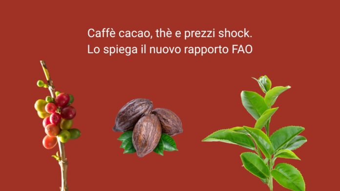 Nuovo rapporto FAO 1200 vending news