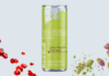 Red Bull. Arriva la Winter Edition al gusto Pistacchio e Frutti Rossi