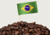 Caffè. Il Brasile scommette sulla robusta: export a +68%