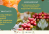 Disponibile una linea guida comune per gli acquisti responsabili di caffè