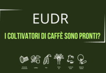 EUDR. A tre mesi dal via i piccoli produttori di caffè non sono pronti